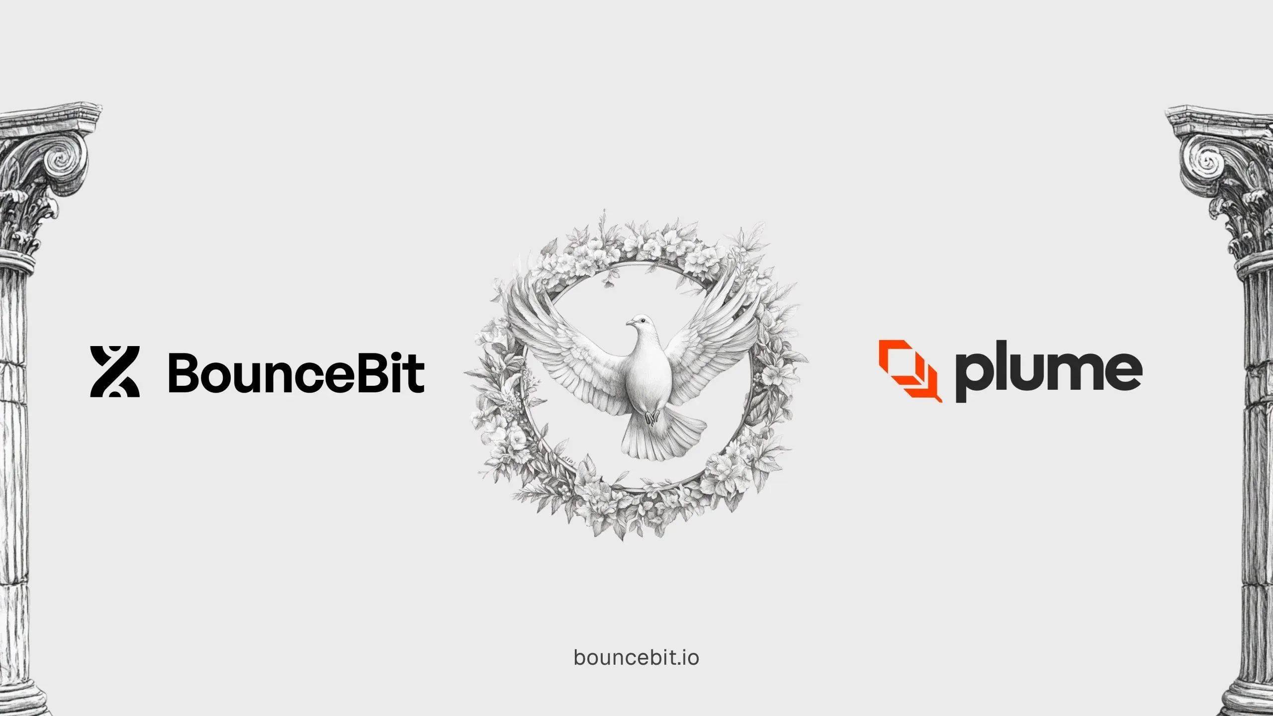 Bouncebit-X-Plume-2-scaled.webp