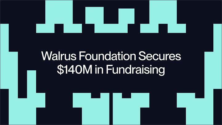 Walrus-Foundation.jpg