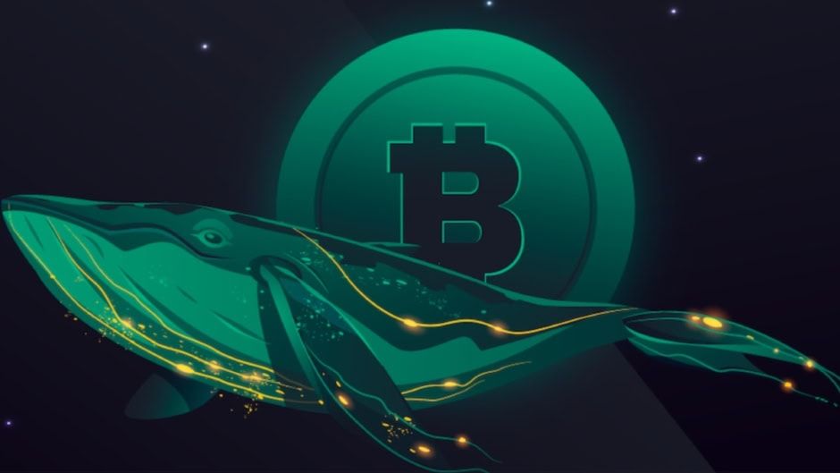 dormant-bitcoin-whale-moves-325m-in-btc-after-a-decade-techjuice-174344-940x529.jpg