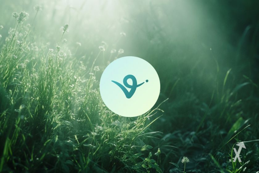 virtual-token-explose-un-moisfile.jpeg